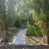 Enchanted Garden